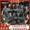 Fujian Xiapu dried kelp knot kelp buckle dry goods Oden spicy hot pot soup ingredients commercial wholesale