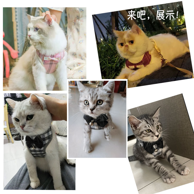 牵引绳伸缩猫咪牵引绳背心式猫绳遛猫宠物兔胸背可调节猫项圈猫绳 - 图2