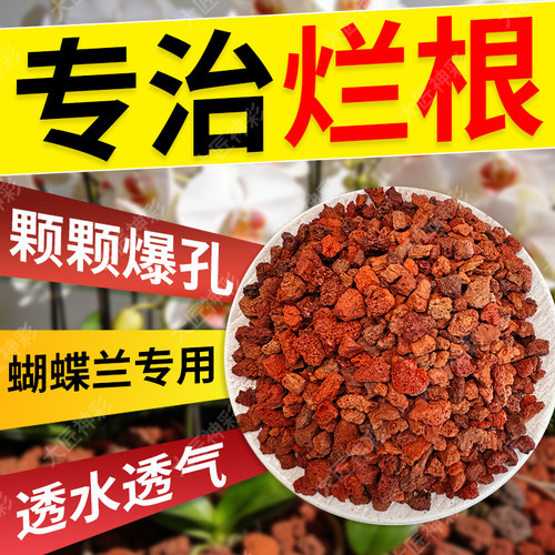 兰花专用火山石养花盆栽铺面鱼缸造景底部砂颗粒石头蝴蝶兰多肉 - 图3