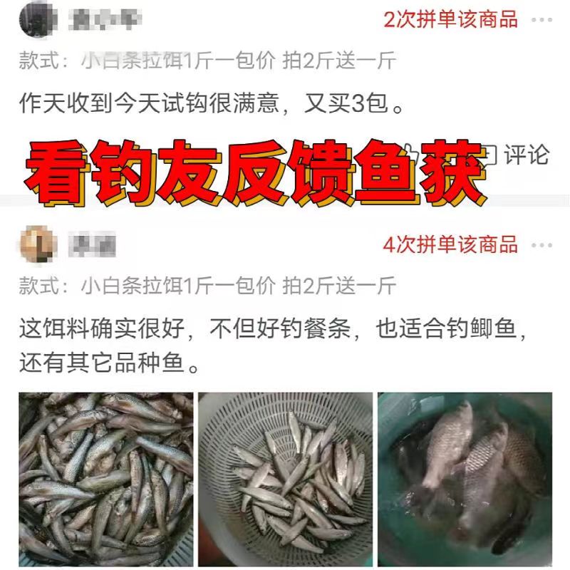 聚攻全能白条鱼饵料野钓小白条狂口腥香味餐条湖库专攻翘嘴马口饵 - 图0