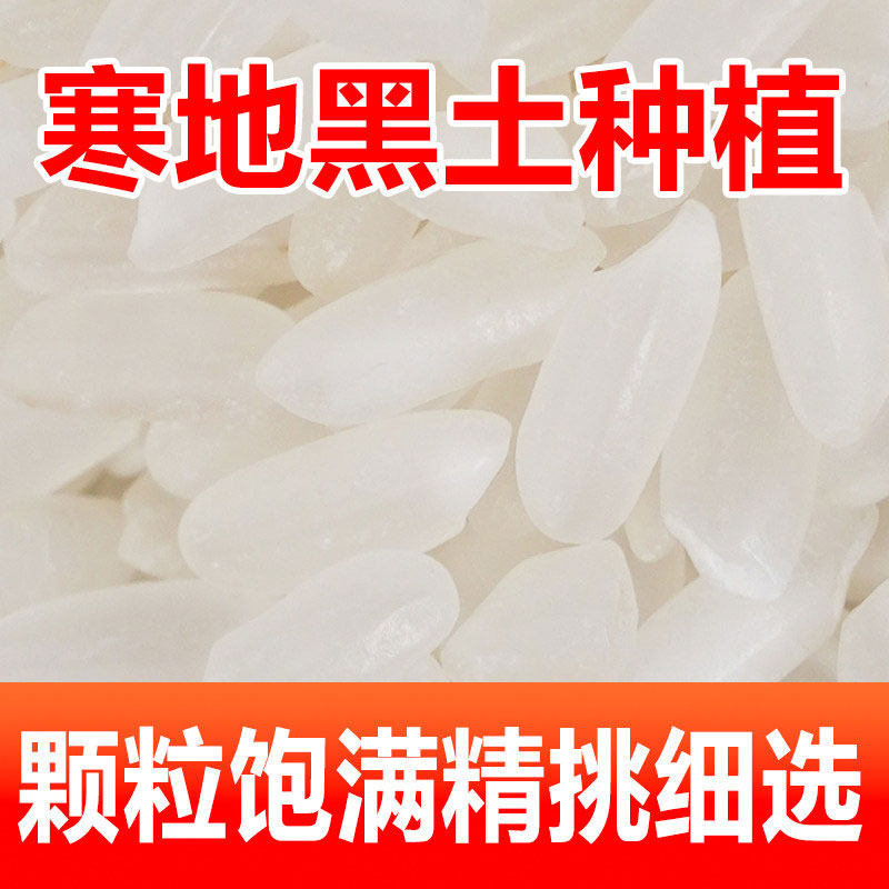 【芭芭农场兑换专享】东北长粒香米3斤当季新米