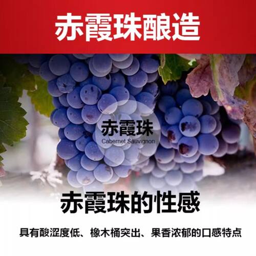 法国进口红酒赤霞珠14度干红葡萄酒750ml整箱礼袋送礼多规格可选 - 图2