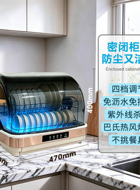 国货新款消毒柜家用小型厨房桌面台式餐具碗筷免沥水消毒烘干碗柜
