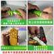 Douyin Toy Snake Tricky Spoof Remote Control Simulation Snake Internet Celebrity Popular Fun Decompression Gift for Children Boys and Girls