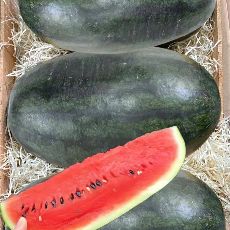 越南黑美人西瓜精品多汁新鲜水果沙瓤脆甜当季水果气柱保温箱防护,淘宝优惠券,粉丝福利购,淘宝优惠卷