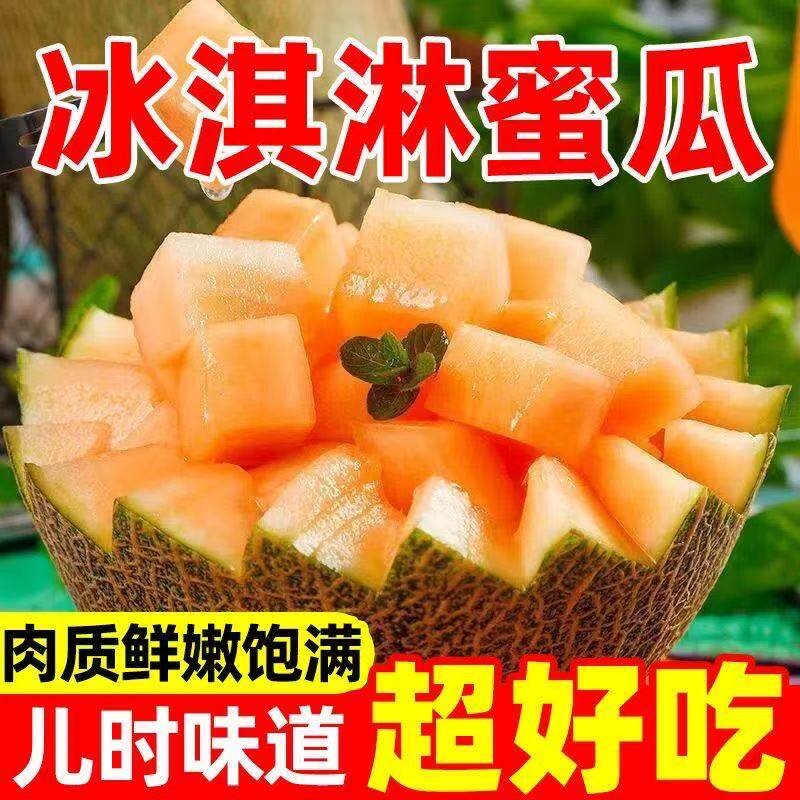 海南哈密瓜玲珑网纹蜜瓜当季现摘脆甜多汁皮薄新鲜香甜整箱装甜脆