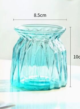 水培瓶植物透明插花宽口玻璃花盆花瓶容器黄金葛盆养缸摆件器皿客