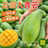 【央视品牌】顾一.云南大青芒带箱5斤