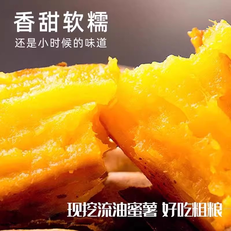 Freshly dug sandy Longjiu honey potatoes, sweet potatoes, fresh sweet potatoes from farmers, freshly grown roasted sweet potatoes and sweet potatoes, self-sown yellow hearts in season