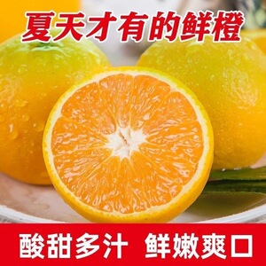 当季现摘新鲜橙子4.5斤