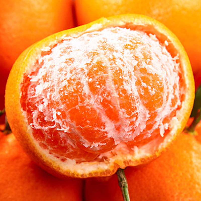 正宗四川春见耙耙柑粑粑柑新鲜水果当季整箱丑八怪杷杷柑桔年货节,淘宝优惠券,粉丝福利购,淘宝优惠卷