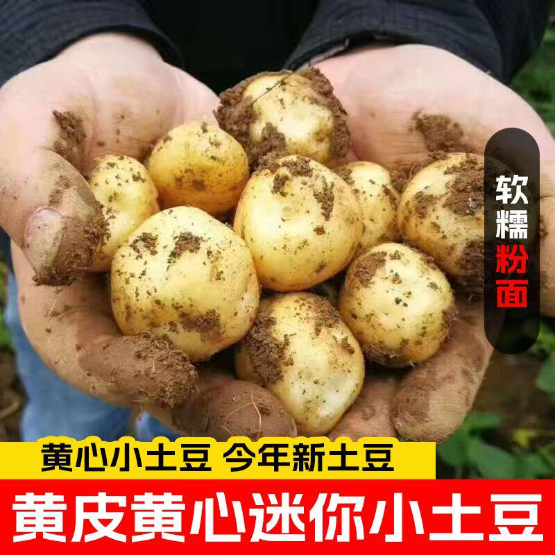 图 5
