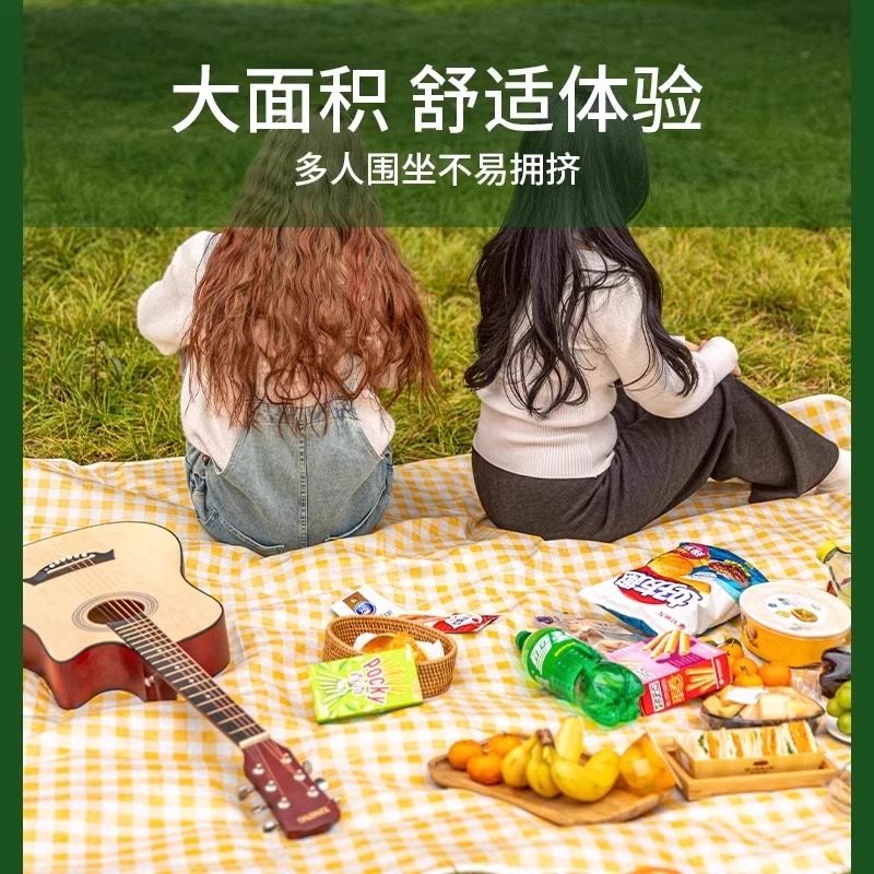 野餐垫防潮垫加厚户外野炊野营沙滩帐篷地垫春游坐垫防水草坪垫子