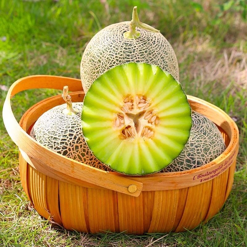 海南网纹瓜当季新鲜水果4斤中小果现摘甜香甜网纹西州蜜瓜包邮