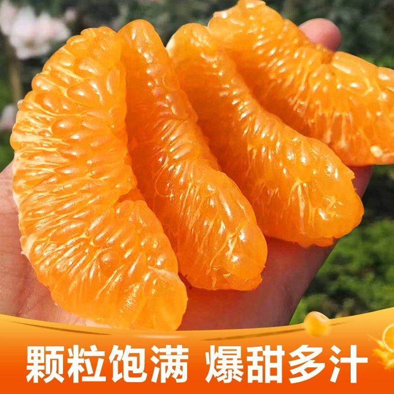 B地标授权正宗四川眉山耙耙柑新鲜水果丑橘粑粑柑现摘发货当丑橘,淘宝优惠券,粉丝福利购,淘宝优惠卷