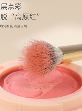化妆刷套装初学者眼影腮红刷全套