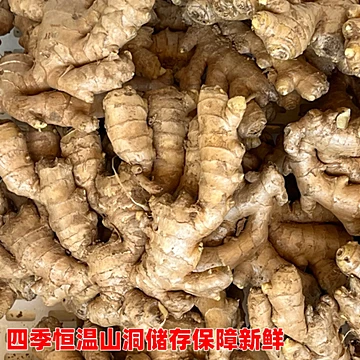 净重5斤！山东新鲜生姜小黄姜[4元优惠券]-寻折猪