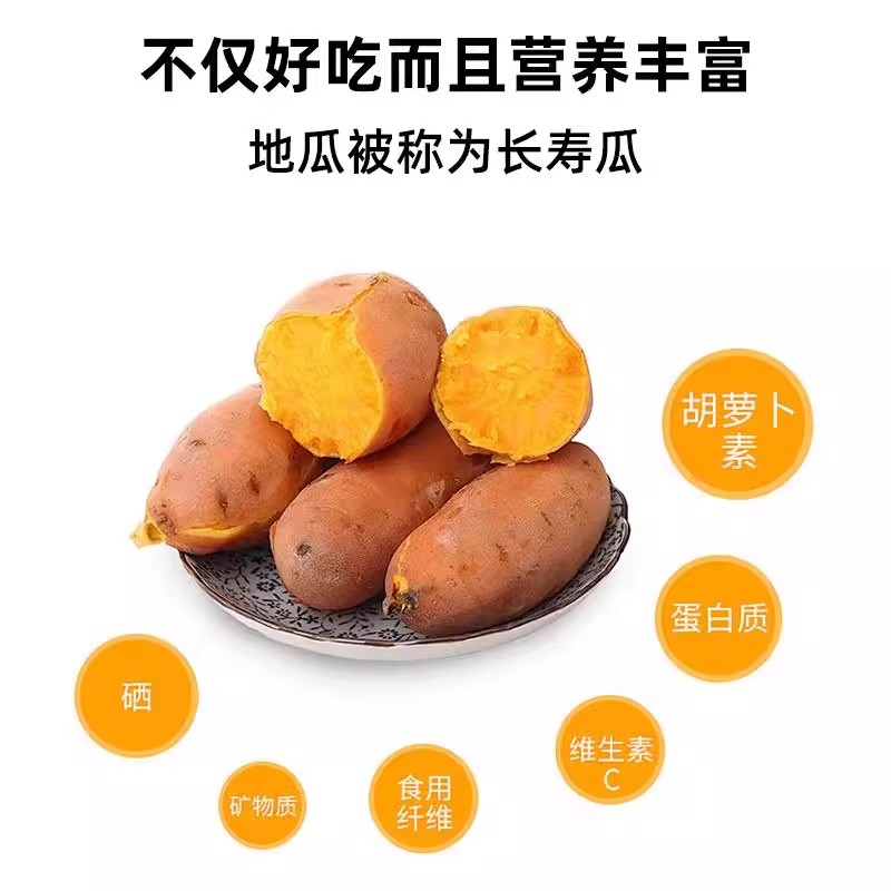 Freshly dug sandy Longjiu honey potatoes, sweet potatoes, fresh sweet potatoes from farmers, freshly grown roasted sweet potatoes and sweet potatoes, self-sown yellow hearts in season