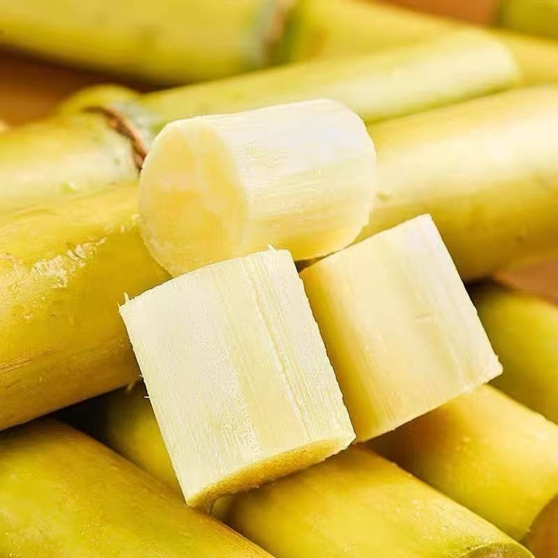 新鲜中段云南黄金甘蔗新鲜孕妇水果当季榨汁脆甜爆甜批发,淘宝优惠券,粉丝福利购,淘宝优惠卷