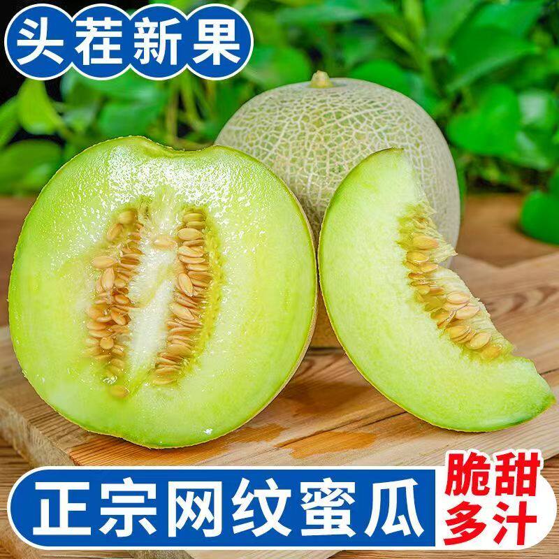 山东网纹蜜瓜冰淇淋哈密瓜2.5-3斤