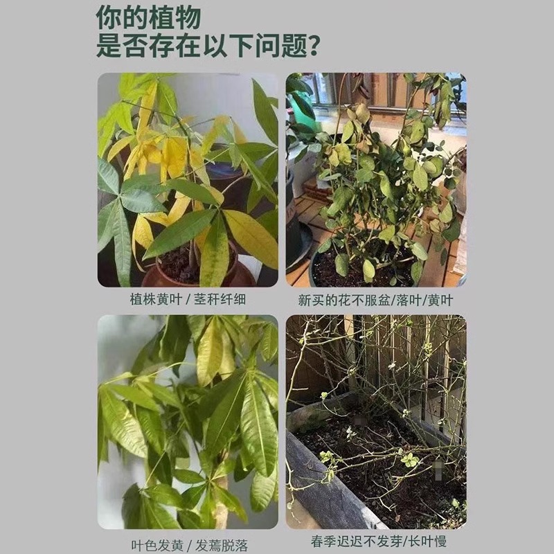 植物花卉通用型复活液针对光杆植物发黄掉叶生长素快速增强活性 - 图0