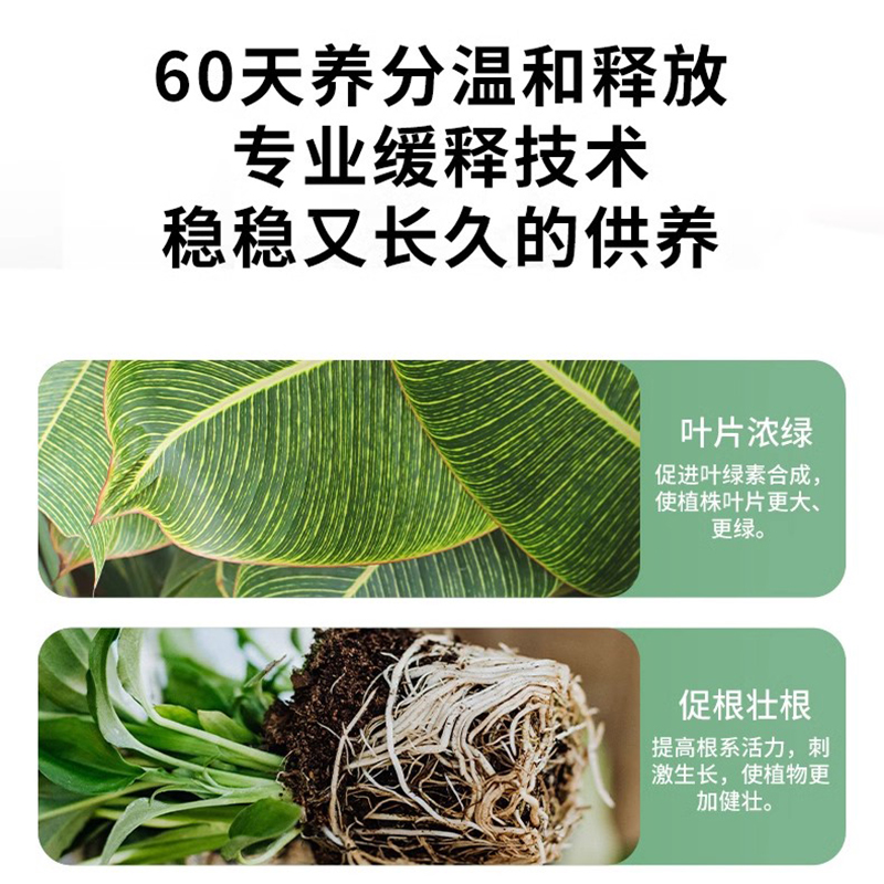 植物缓释营养棒花肥家用盆栽养花通用型月季多肉绿植缓释肥片园艺 - 图2