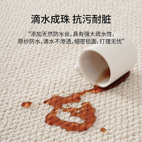 仿剑麻地毯客厅耐磨仿猫爪免洗侘寂中古风地垫奶油高级卧室床边毯 - 图0