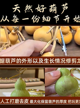 文玩葫芦手把件带龙头紫皮小葫芦手捻男天然精品挂件小摆件盘玩女