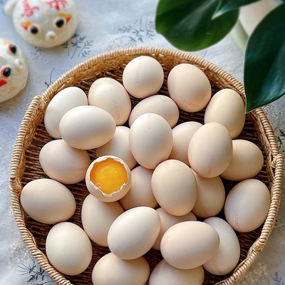 60枚可生食鲜大鸡蛋无抗出口品质