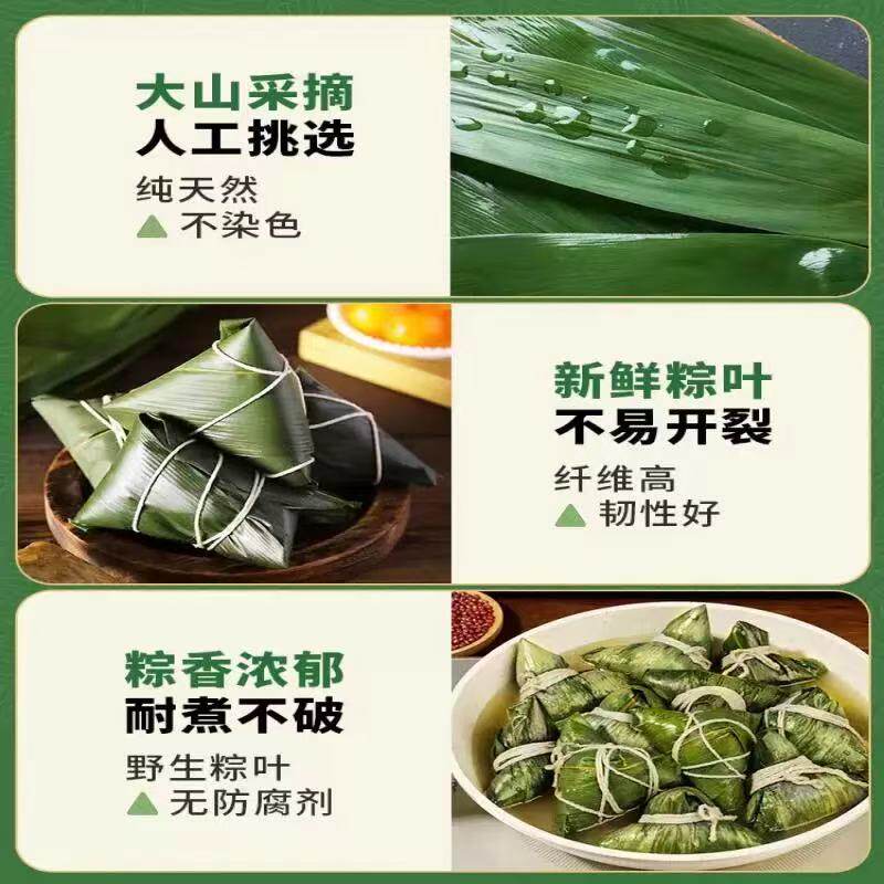 新鲜粽子叶特大粽叶箬叶端午节包粽子的叶子家用商用干送绳现摘