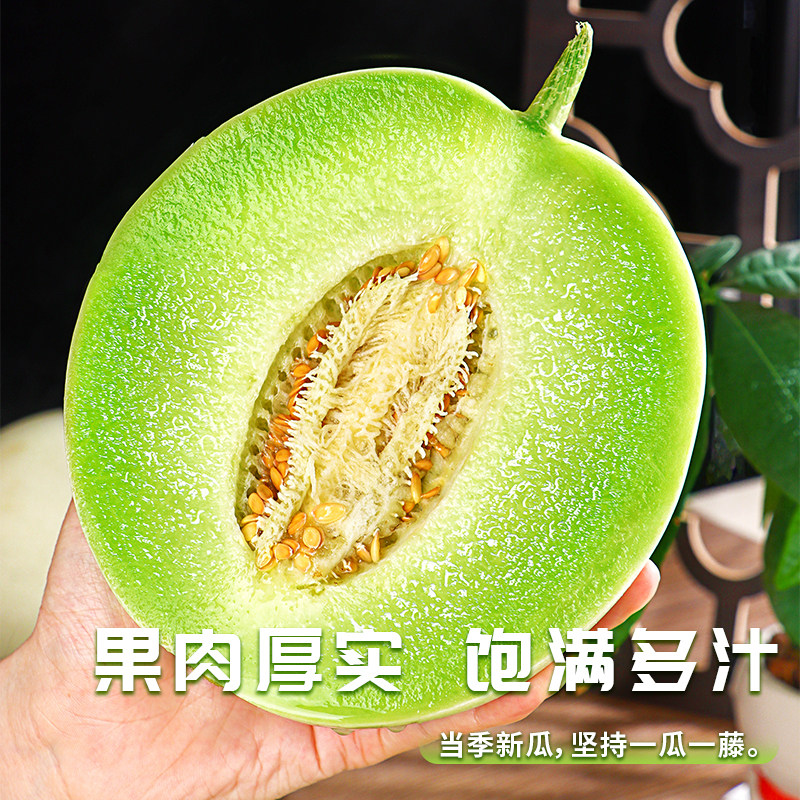 正宗玉菇甜瓜新鲜水果冰激凌应当季现摘现发软糯多汁鲜运整箱包邮