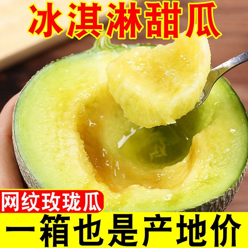 海南玫珑瓜网纹蜜瓜牛3三冰淇淋甜瓜一藤一瓜应季时令水果哈密瓜