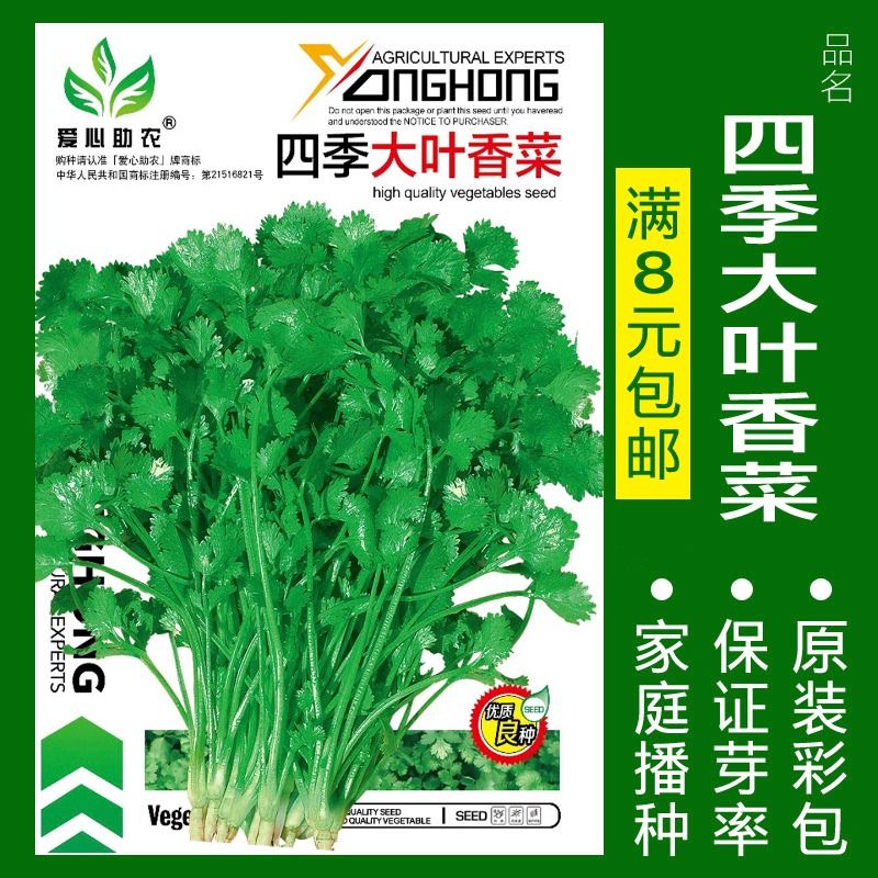 蔬菜种子四季播种阳台农家盆栽香菜菠菜生菜韭菜小葱草莓籽孑大全 - 图2