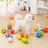 Dog Vocal Relief Ball | Over 1,000 repeat customers