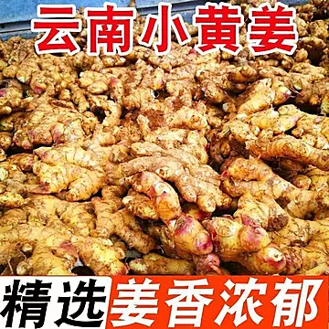 正宗云南生姜小黄姜新鲜嫩姜4.5斤[24元优惠券]-寻折猪