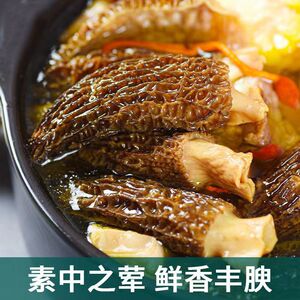 【果官宣】高山羊肚菌