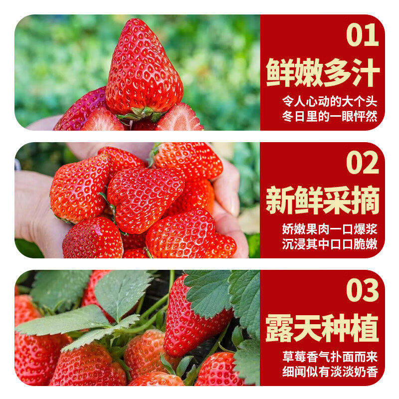 顺丰速达红颜奶油草莓新鲜水果当季现摘99礼盒装大凉山非丹东草莓,淘宝优惠券,粉丝福利购,淘宝优惠卷