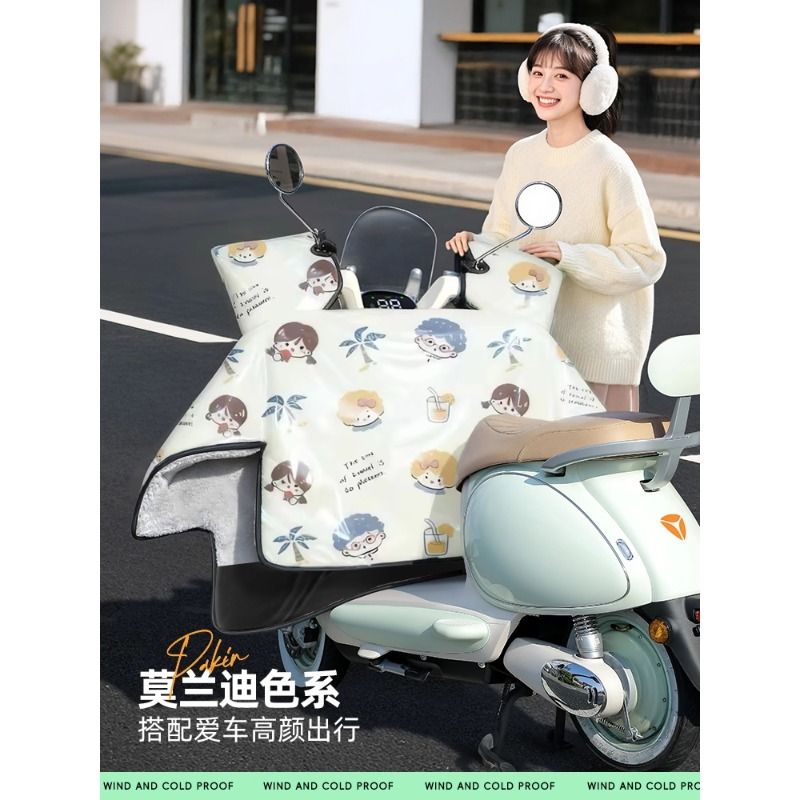 电动车挡风被冬季加绒加厚防水防风罩2025新款四季通用防寒防雨 - 图1