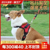 Dog Traction Rope Vest Type Chest Strap Small Mid Large Dog Walking Dog Labrador Teddy Dog Chain Dog Rope Out