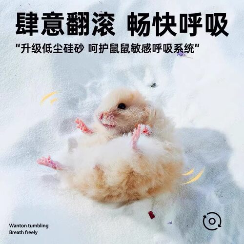 浴沙仓鼠专用尿沙二合一金丝熊除臭除味洗澡沙沙小宠清洁生活用品 - 图2