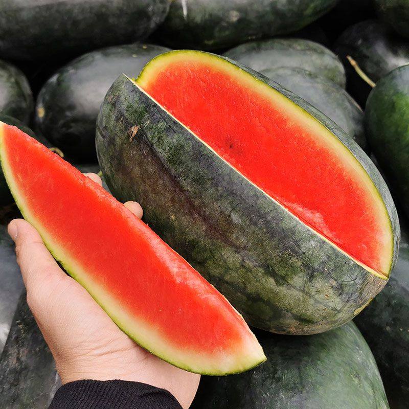 越南进口应季黑美人西瓜包沙包甜当季新鲜热带水果批发新鲜薄皮甜,淘宝优惠券,粉丝福利购,淘宝优惠卷