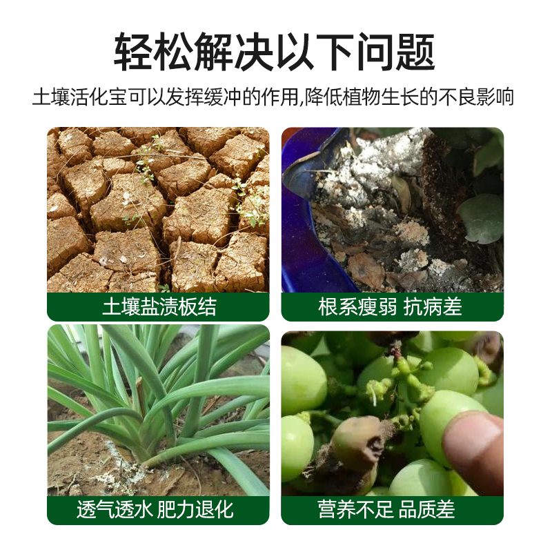 土壤活化宝剂矿源黄腐酸钾水溶花肥松土盆栽生根植物花卉通用型-图0