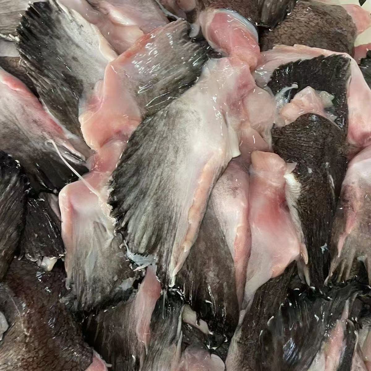 新鲜海鲜冷冻安康鱼翅鱼鳍生鲜批发750g海鱼安康鱼水产食材冰鲜 - 图2