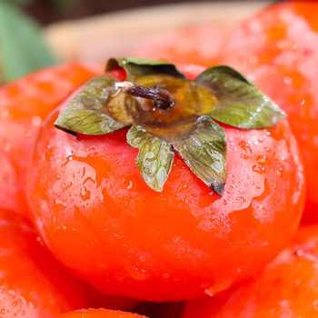 火晶柿子新鲜水果应季软甜蜜小柿子精品特产当季整箱包邮非脆柿子券后14.4元包邮 火晶柿子新鲜水果应季软甜蜜小柿子精品特产当季整箱包邮非脆柿子券后14.4元包邮