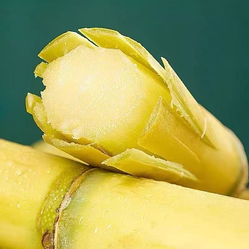 新鲜中段云南黄金甘蔗新鲜孕妇水果当季榨汁脆甜爆甜批发,淘宝优惠券,粉丝福利购,淘宝优惠卷