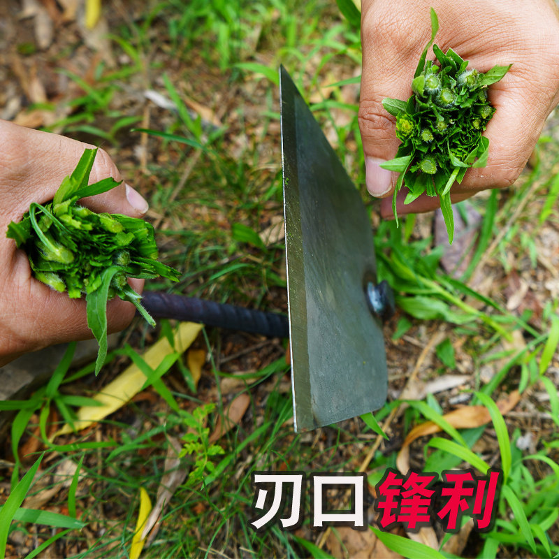 锄头除草小锄头农用锄草神器户外农田专用园艺梯形锄月牙锄勾锄_虎窝淘