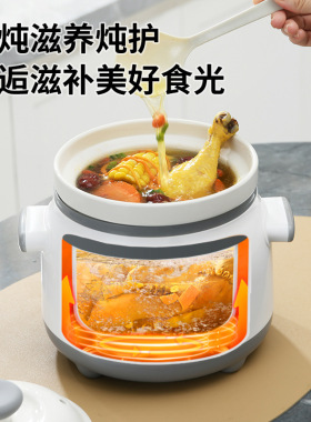多功能紫砂电炖锅全自动陶瓷
