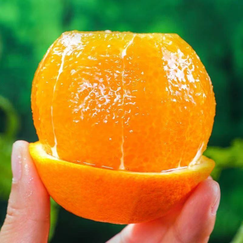 农家纽荷尔脐橙甜新鲜正宗鲜橙橙子酸甜当季多汁应季水果