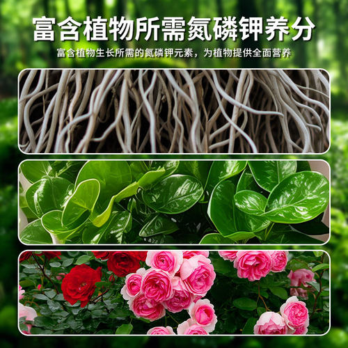 腐殖土营养土养花通用专用天然腐叶种菜土壤通用型种植土稻壳花土 - 图0