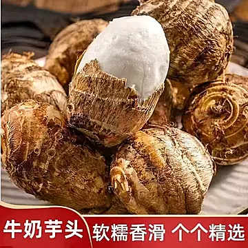 下拉金币13.66！山东新鲜现挖牛奶小芋头5斤[6元优惠券]-寻折猪